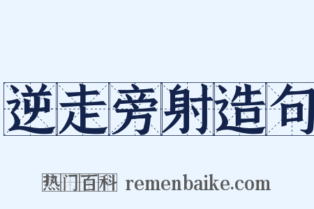 逆走旁射造句是什么意思的图片